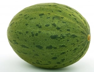 green watermelon fruit thumbnail