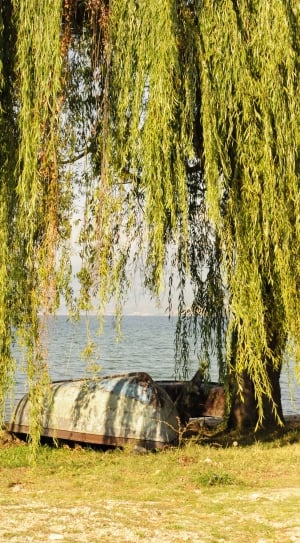 Sun, Macedonia, Boat, Water, More, tree, nature thumbnail