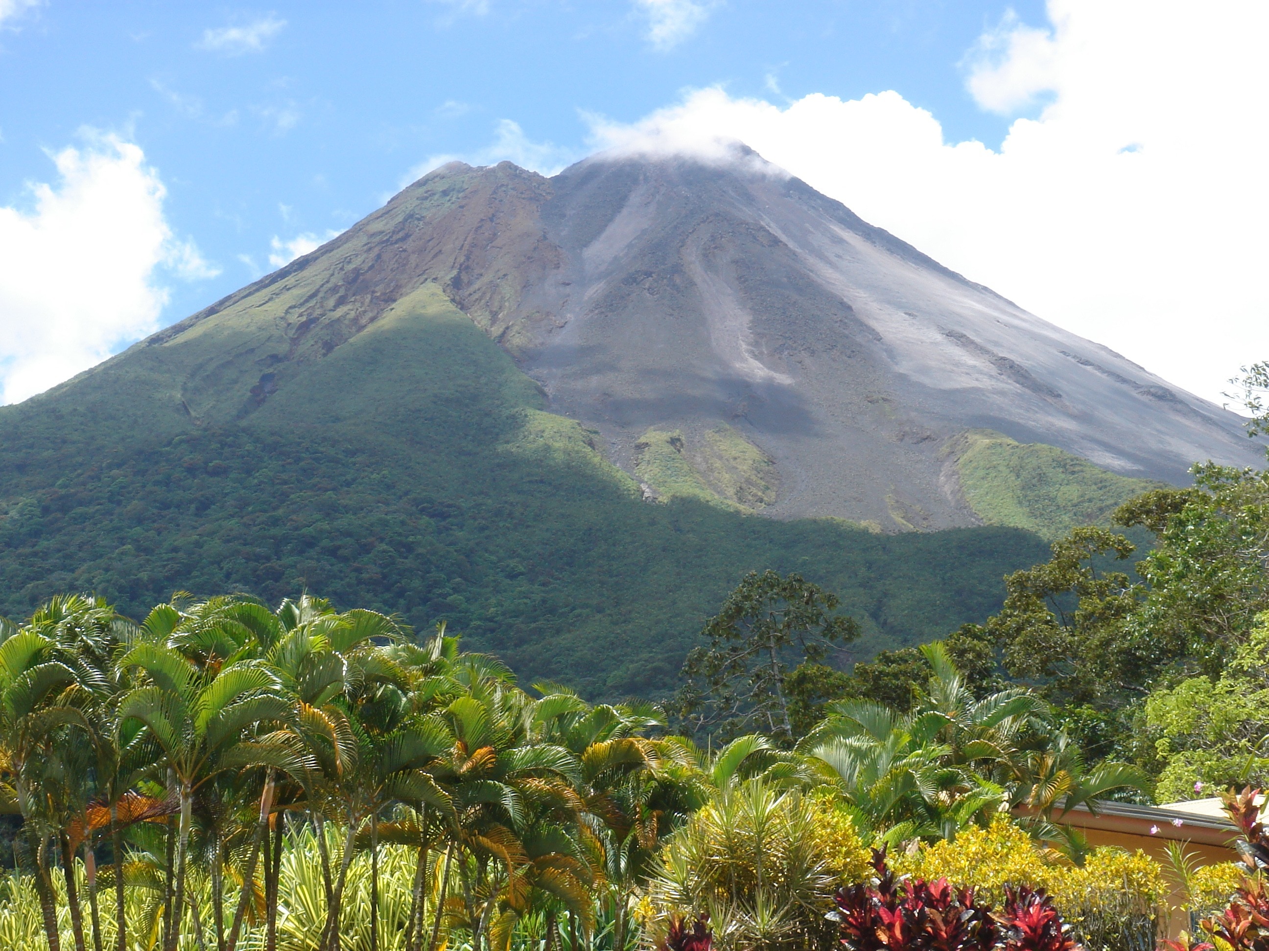 Plant, Landscape, Volcano, mountain, day