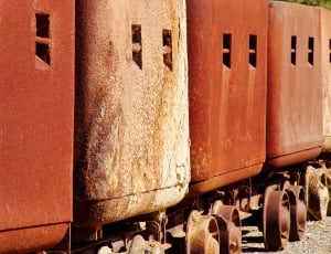brown train thumbnail