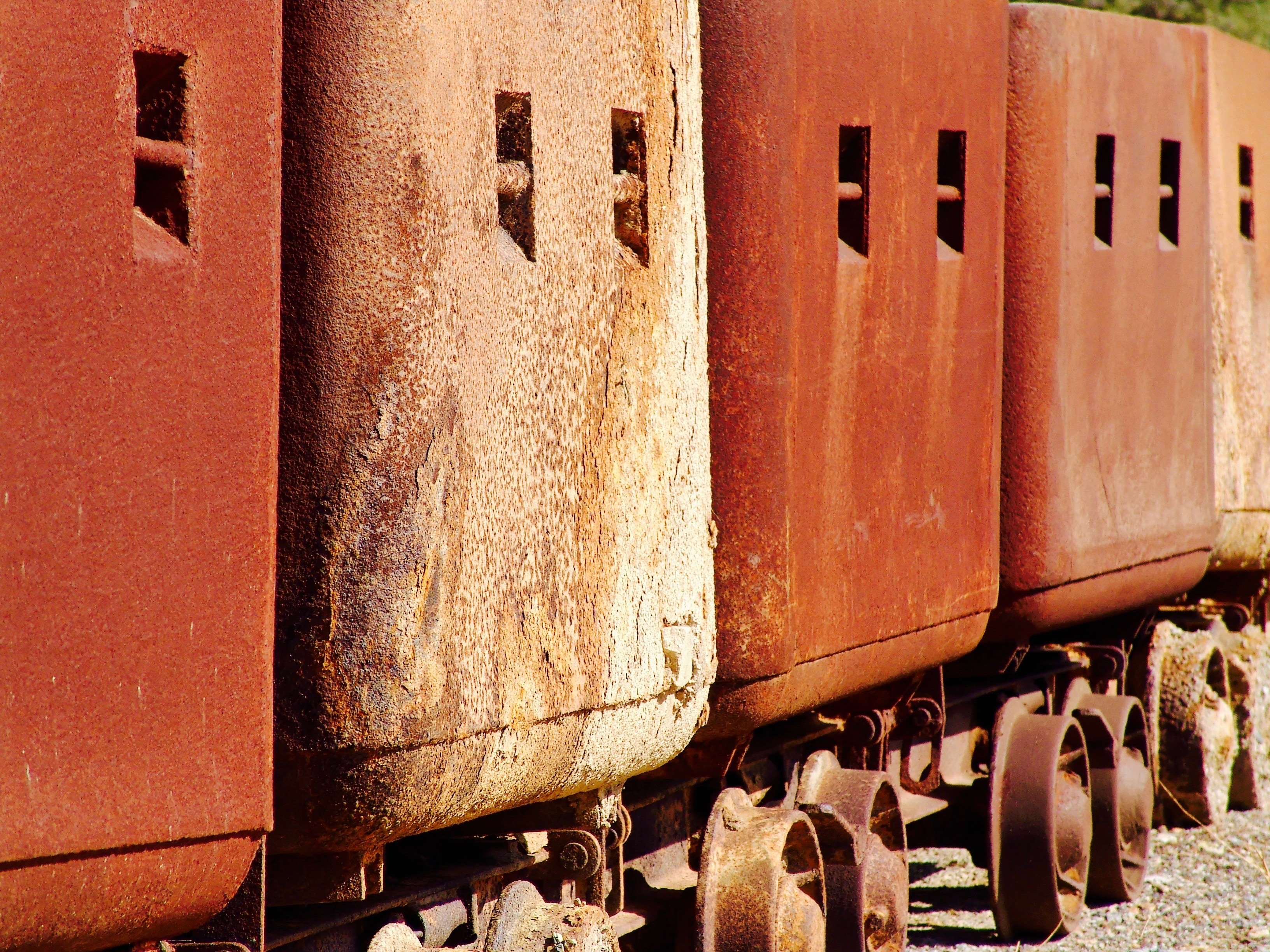 brown train