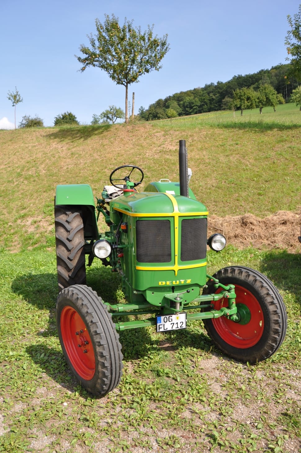 Tractor, Oldtimer, Agriculture, Tractors, grass, tree preview
