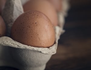 brown egg thumbnail