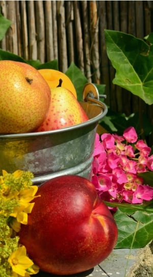 variety of fruits and flowers near brown wooden fence at daytime thumbnail