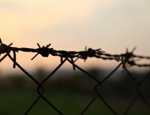 black barb wire and chain link fence thumbnail