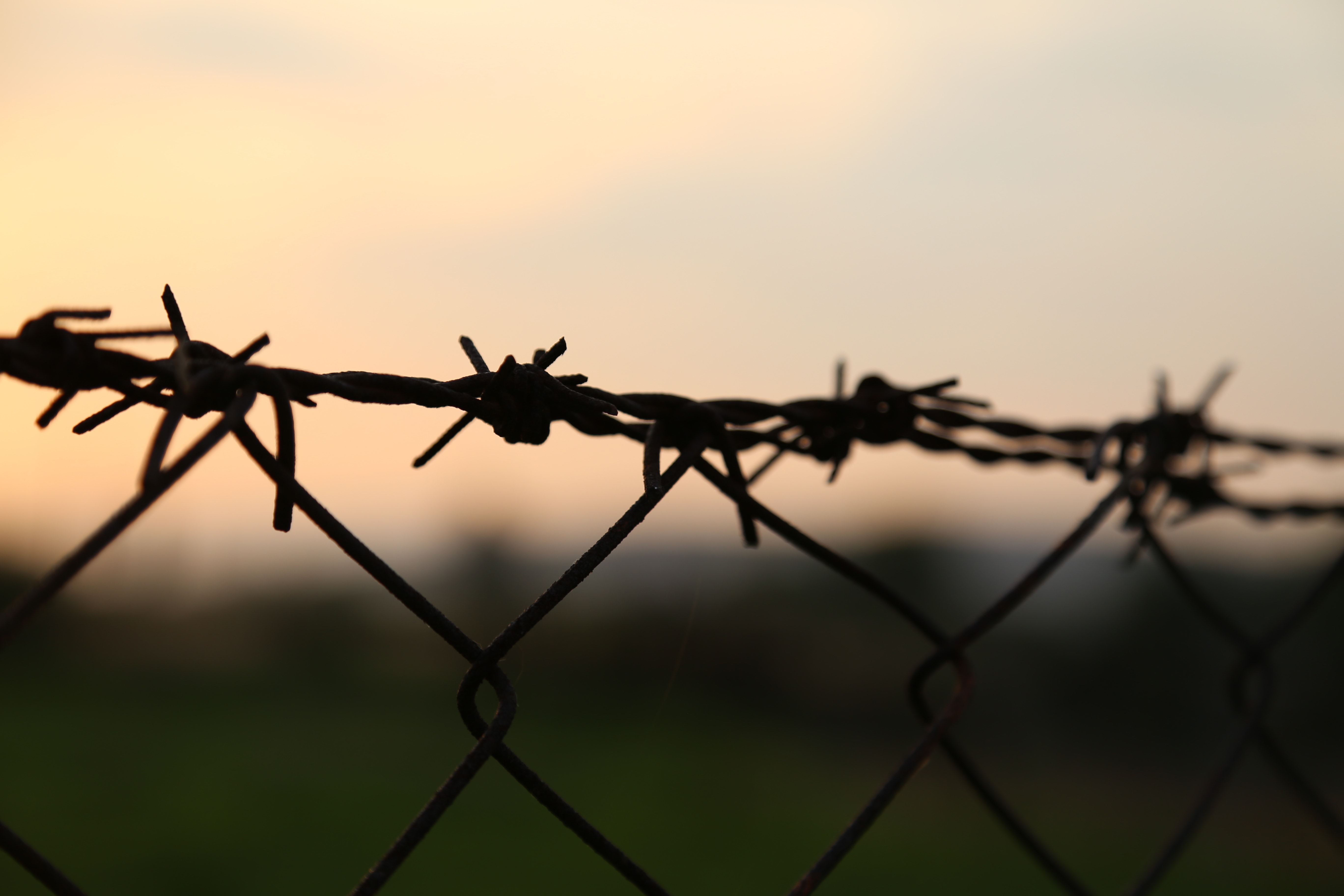 black barb wire and chain link fence