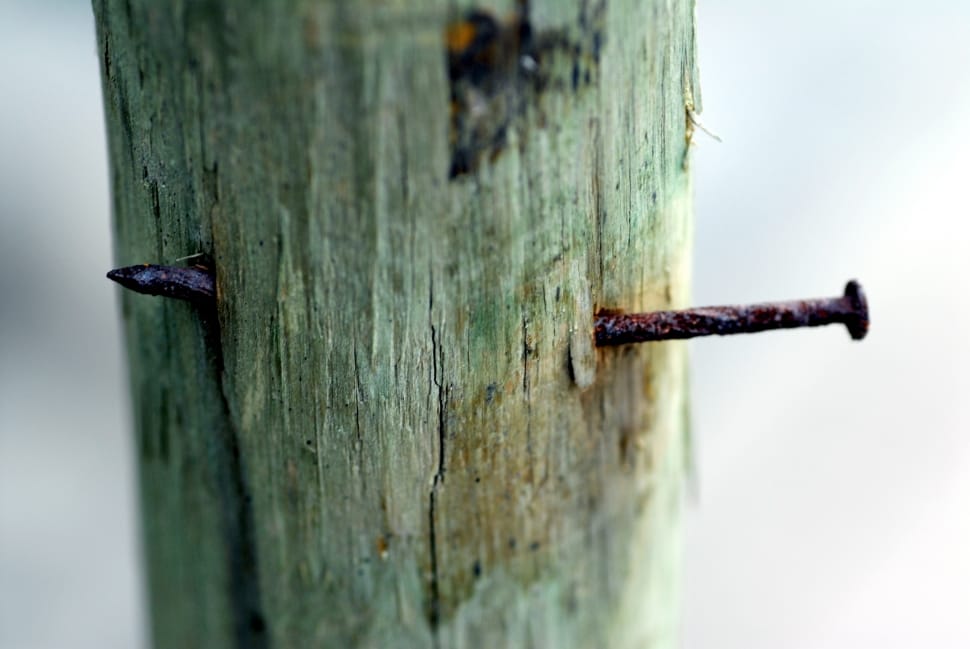 close up photo of wooden post with rusty nail preview
