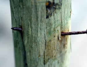 close up photo of wooden post with rusty nail thumbnail