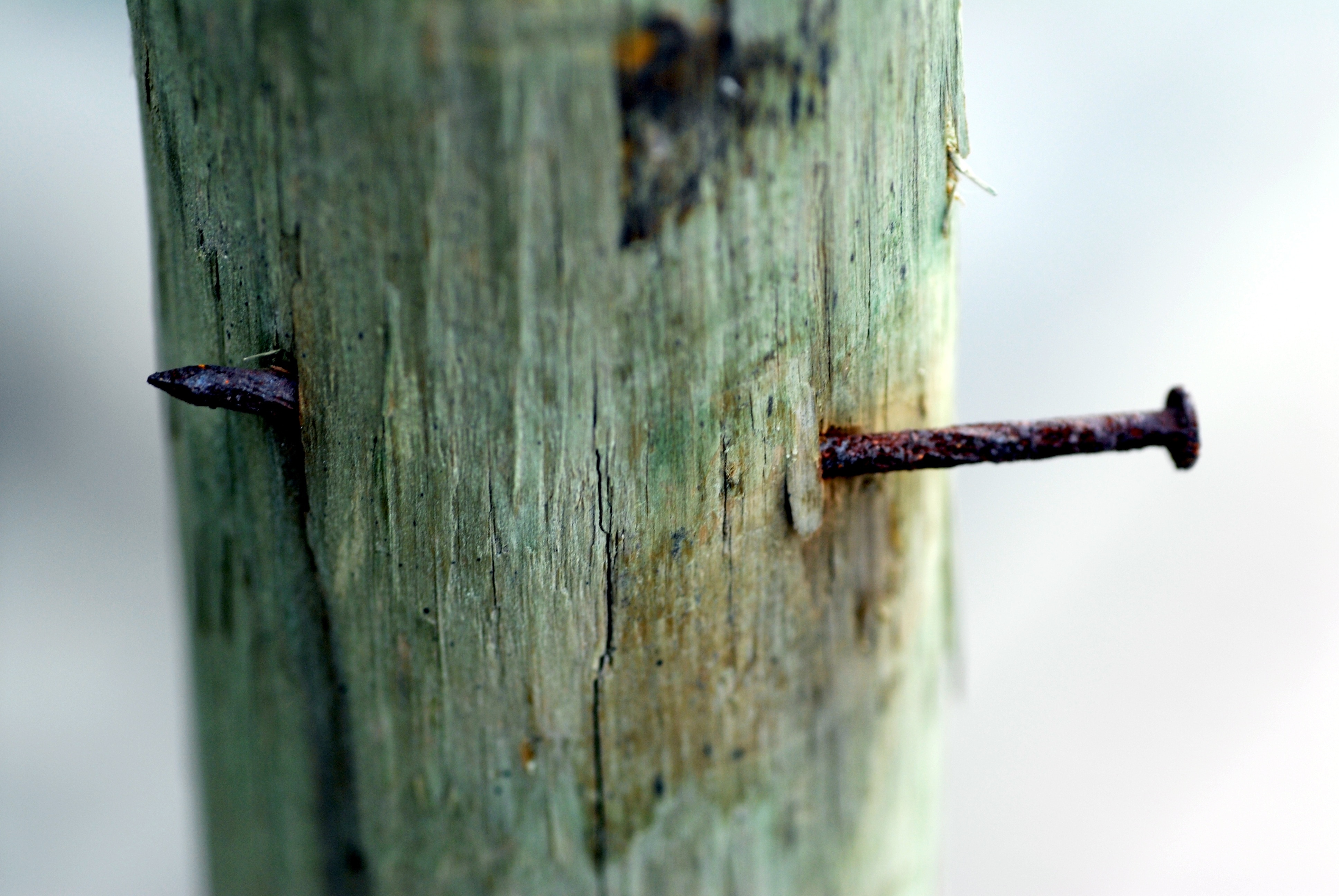 close up photo of wooden post with rusty nail